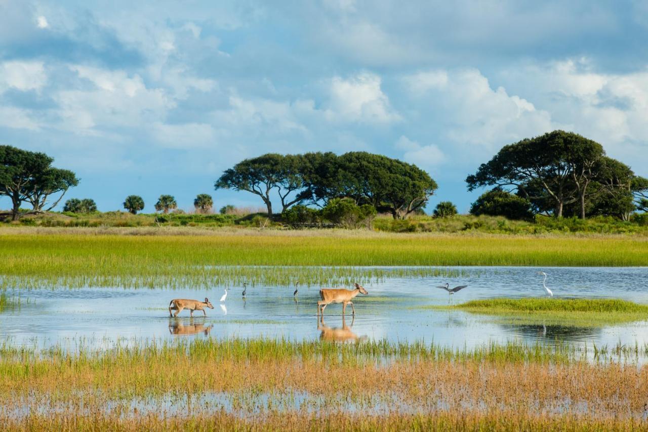 Tennis Club 4709 Kiawah Island Exteriör bild
